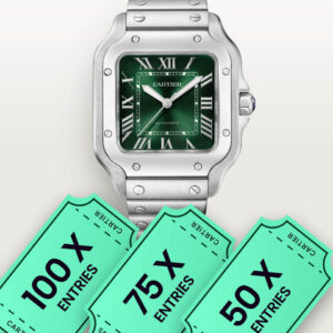 225 x Entries to Mens Cartier Watch